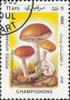 [Flora - Mushrooms, type ABU]