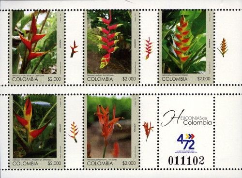 [Flowers - Heliconias of Colombia, type ]