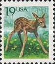 [Animals - European Roe Deer, type BUO]