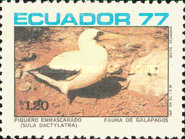 [Birds of the Galapagos Islands, type BLU]