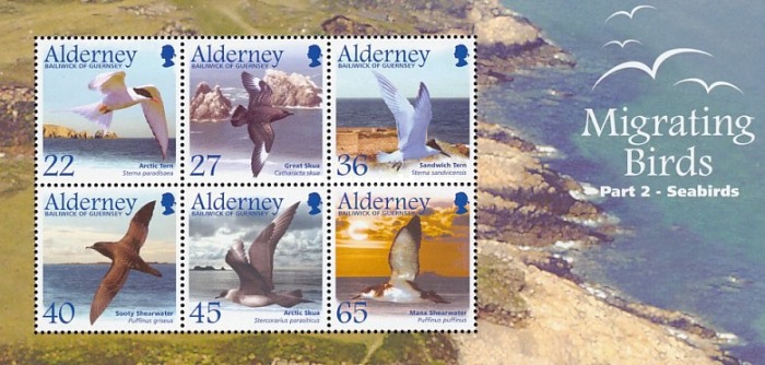 [Migrating Birds - Seabirds, type ]