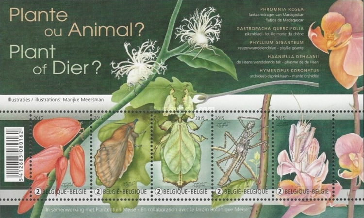 [Flora & Fauna - Plant or Animal?, type ]