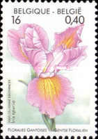 [Flower Exhibition in Gent, type CHT]