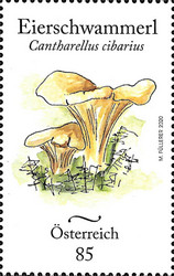 [Endemic Mushrooms of Austria, type DTL]