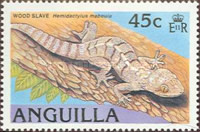 [Lizards, type ACY]