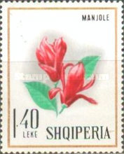 [Flowers, type AEV]