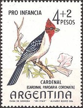[Child Welfare - Birds, type WE]