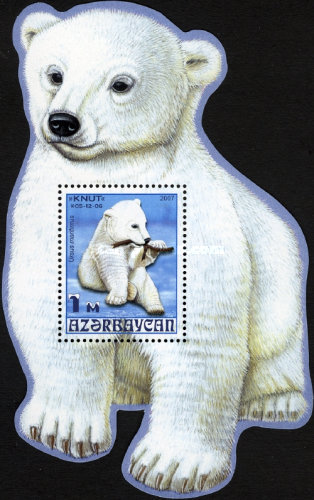[Polar Bear, type ]