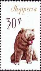 [The Brown Bear, type VN]
