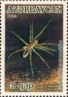[Arachnids, type YQ]