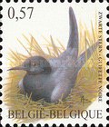 [Fauna - Birds, type CPT]