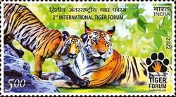 [International Tiger Forum - Vladivostok, Russia, type FAP]