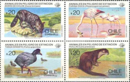 [Endangered Animals, type ]