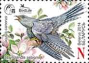 [Bird of the Year - Common Cuckoo, type AIY]