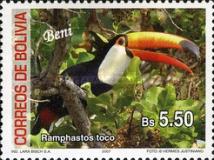 [Birds of Bolivia - Beni, type BHY]
