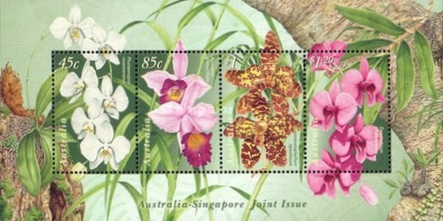 [Orchids, type ]