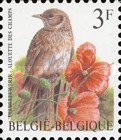 [Birds, type CAI]