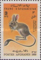 [Fauna, type AKA]
