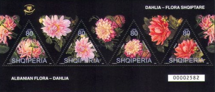 [Flowers - Dahlias, type ]