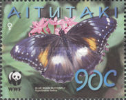 [Butterflies, type SJ]