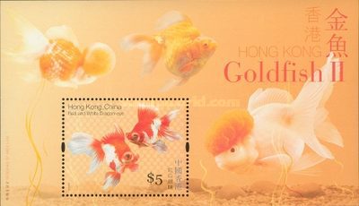 [Goldfish, type ]
