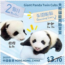 [Giant Panda Twin Cubs, type CQU]