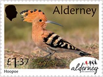 [Bird Obersvatories Across the British Isles, type AFJ]