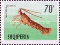 [Marine Life, type XEP]