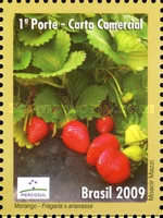 [Mercosul - Export Products - Fruit, type EEK]