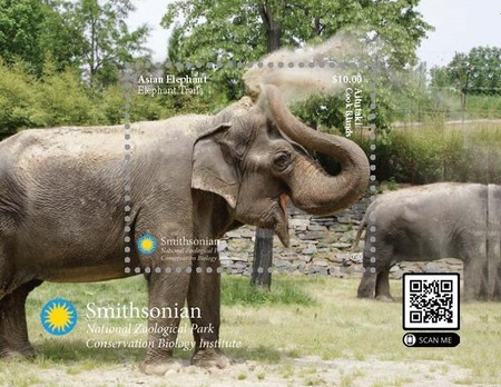 [Fauna - Elephants, type ]