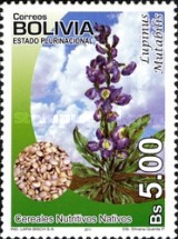 [Agriculture - Native Cereals, type BOF]