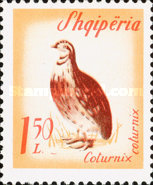 [Birds, type UH]