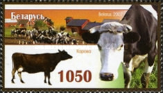 [Domestic Animals, type XR]