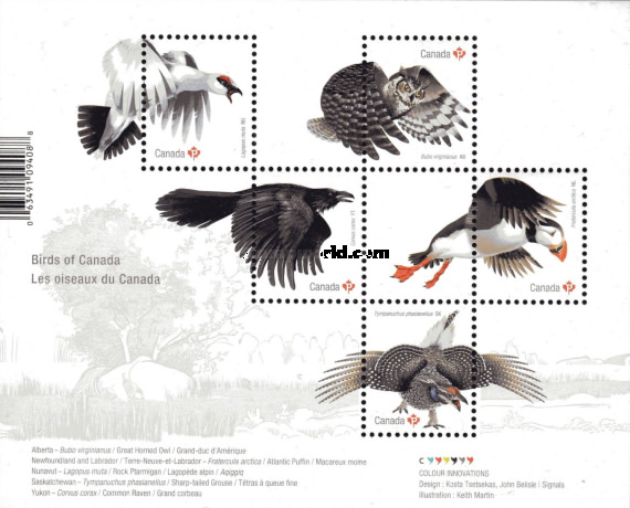 [Birds of Canada, type ]