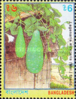[Vegetables, type QO]