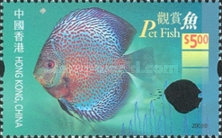 [Aquarium Fish, type AIY]