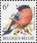 [Birds, type BLF]