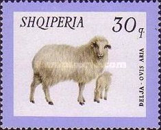 [Domestic Animals, type WF]
