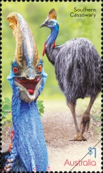 [Flightless Birds, type EQQ]