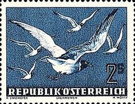 [Airmail - Birds, type RN]