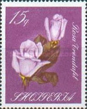 [Roses, type ZY]
