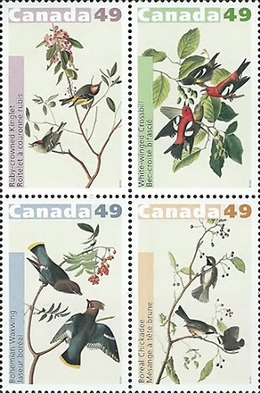 [John James Audubon's Birds, type ]