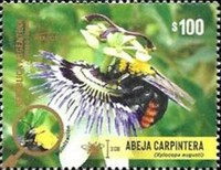 [MERCOSUR Issue - Beneficial Insects, type EEZ]