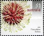 [Australian Wildflowers, type CLO]