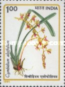 [Orchids, type AQX]