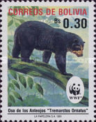 [The Spectacled Bear, type AIK]