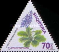 [Flora, type CUK]