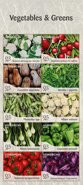 [Vegetables & Greens, type ]