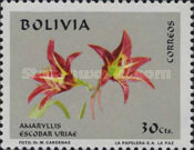 [Bolivian Flora, type OV]