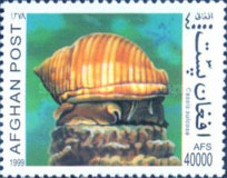 [Fauna - Snails, type ASX]
